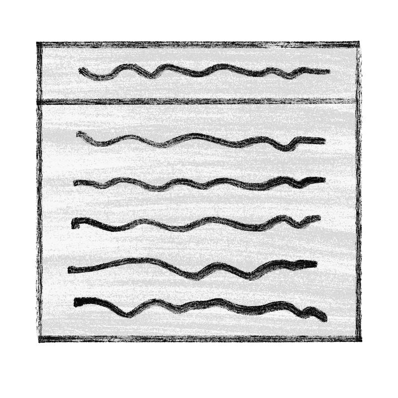 Hand-drawn illustration of an order form