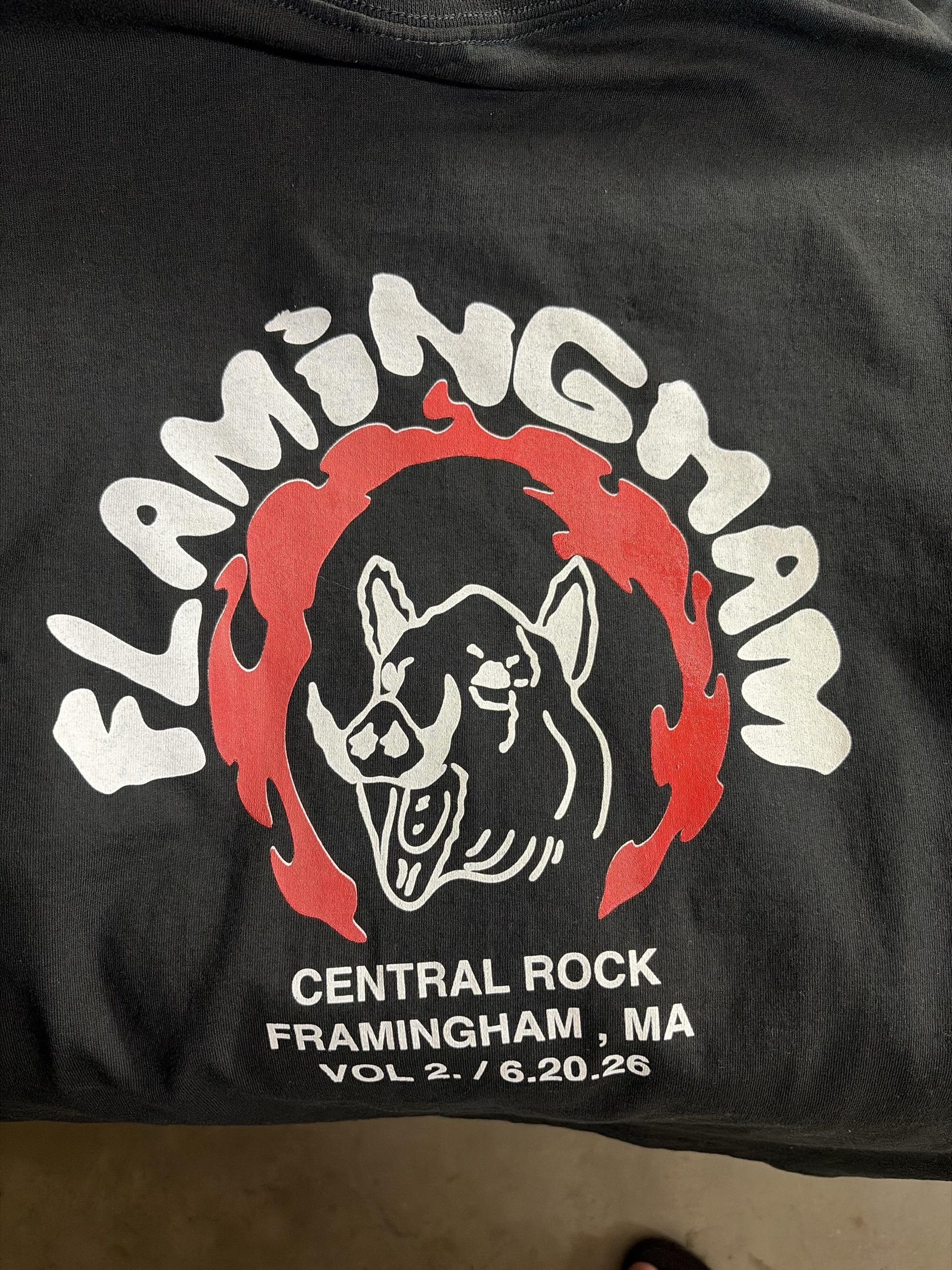 Flamingham Classic Vol. 2: 2-color back graphic with bear mascot, 1-color front. Central Rock, Framingham MA